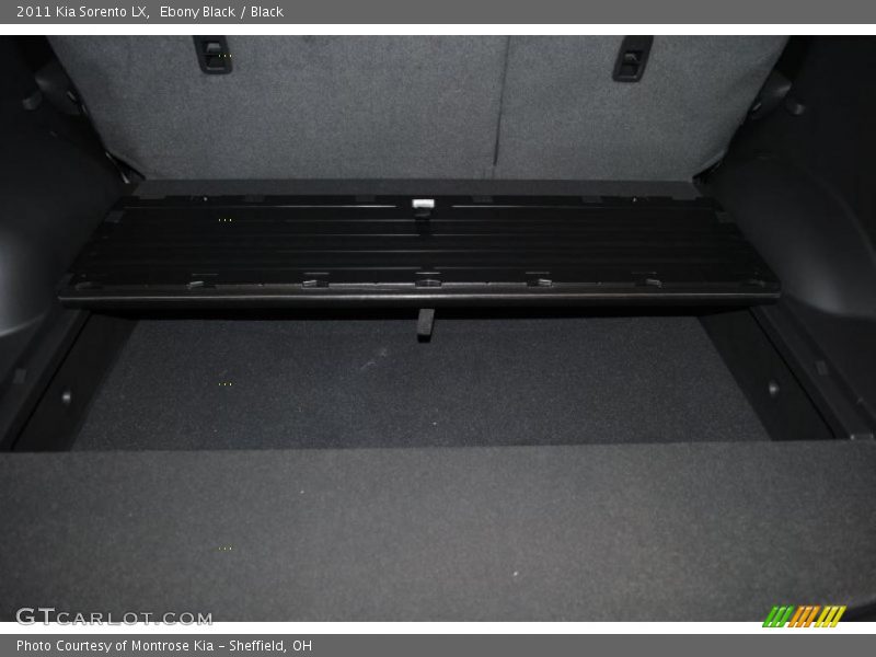 Ebony Black / Black 2011 Kia Sorento LX