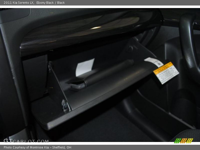 Ebony Black / Black 2011 Kia Sorento LX