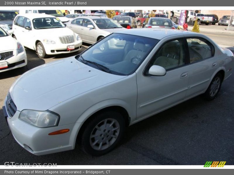 Icelandic Pearl / Blond 2000 Nissan Maxima SE