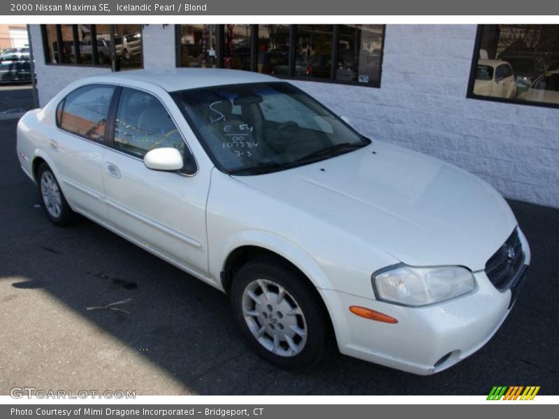 Icelandic Pearl / Blond 2000 Nissan Maxima SE