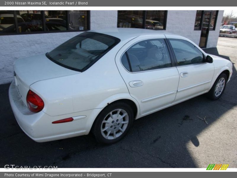 Icelandic Pearl / Blond 2000 Nissan Maxima SE