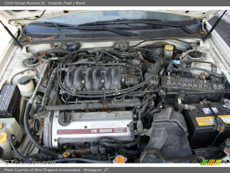 Icelandic Pearl / Blond 2000 Nissan Maxima SE