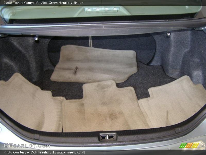 Aloe Green Metallic / Bisque 2008 Toyota Camry LE