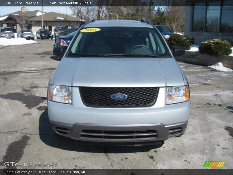Silver Frost Metallic / Shale 2005 Ford Freestyle SE