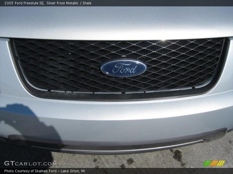 Silver Frost Metallic / Shale 2005 Ford Freestyle SE