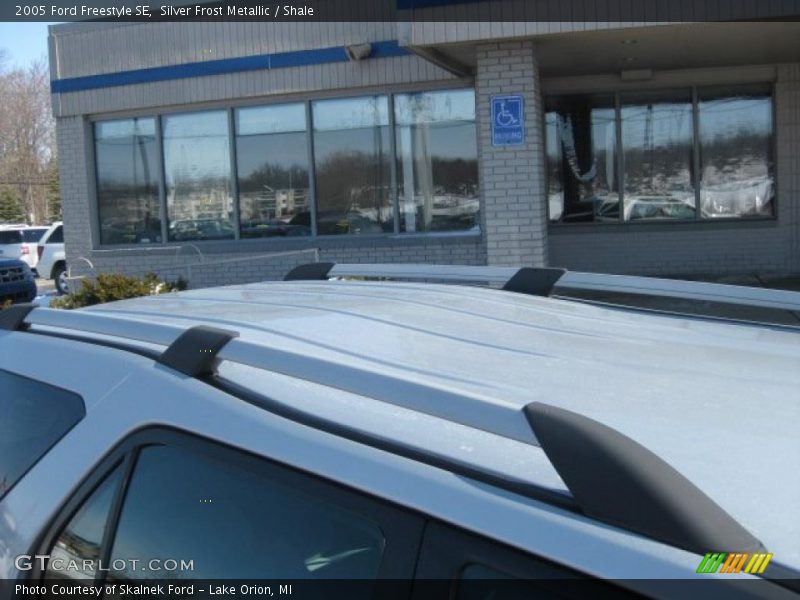 Silver Frost Metallic / Shale 2005 Ford Freestyle SE