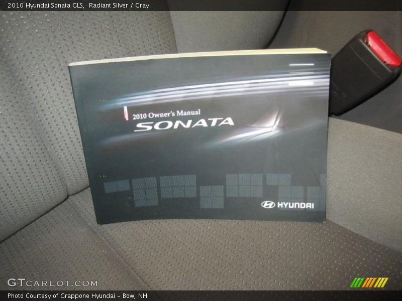 Radiant Silver / Gray 2010 Hyundai Sonata GLS