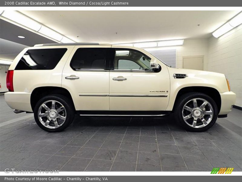 White Diamond / Cocoa/Light Cashmere 2008 Cadillac Escalade AWD