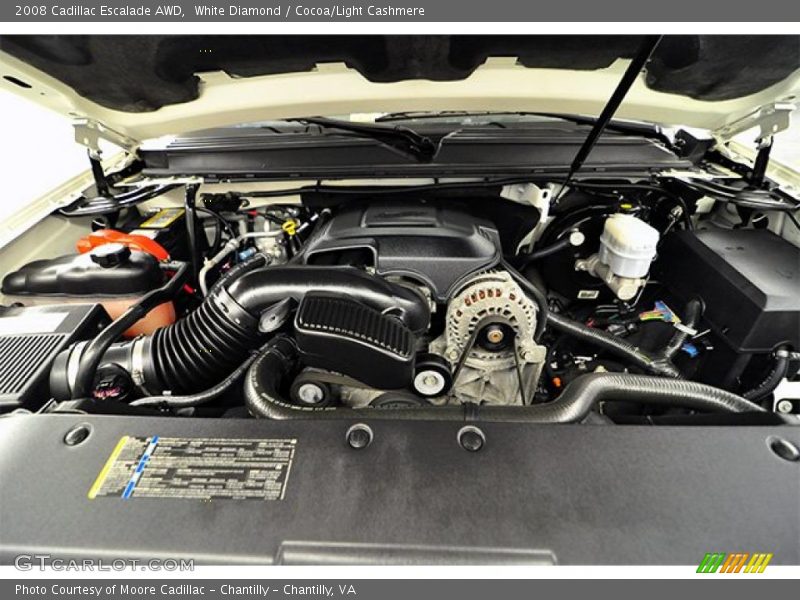 White Diamond / Cocoa/Light Cashmere 2008 Cadillac Escalade AWD