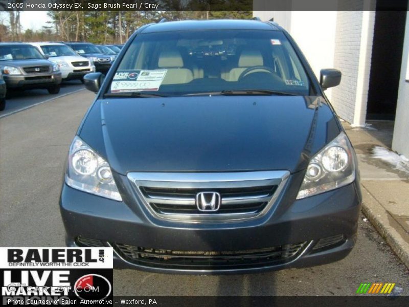 Sage Brush Pearl / Gray 2005 Honda Odyssey EX