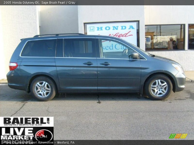 Sage Brush Pearl / Gray 2005 Honda Odyssey EX