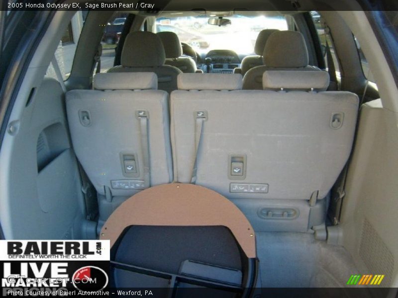 Sage Brush Pearl / Gray 2005 Honda Odyssey EX