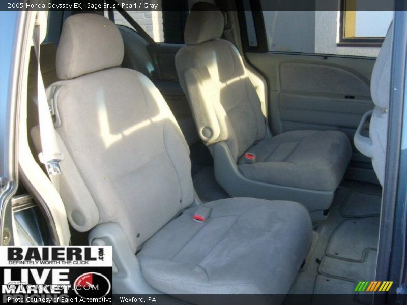 Sage Brush Pearl / Gray 2005 Honda Odyssey EX