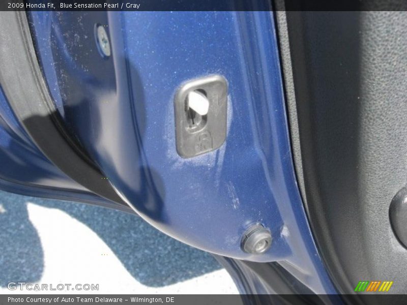 Blue Sensation Pearl / Gray 2009 Honda Fit