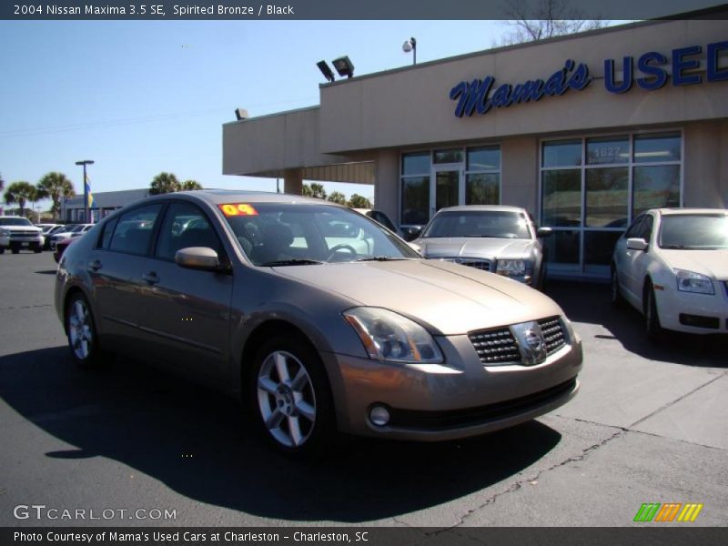 Spirited Bronze / Black 2004 Nissan Maxima 3.5 SE