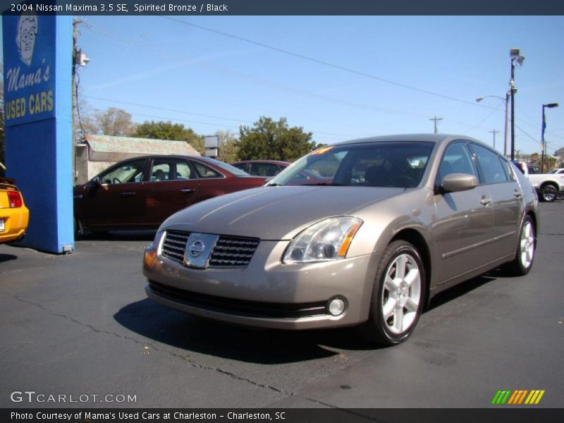 Spirited Bronze / Black 2004 Nissan Maxima 3.5 SE