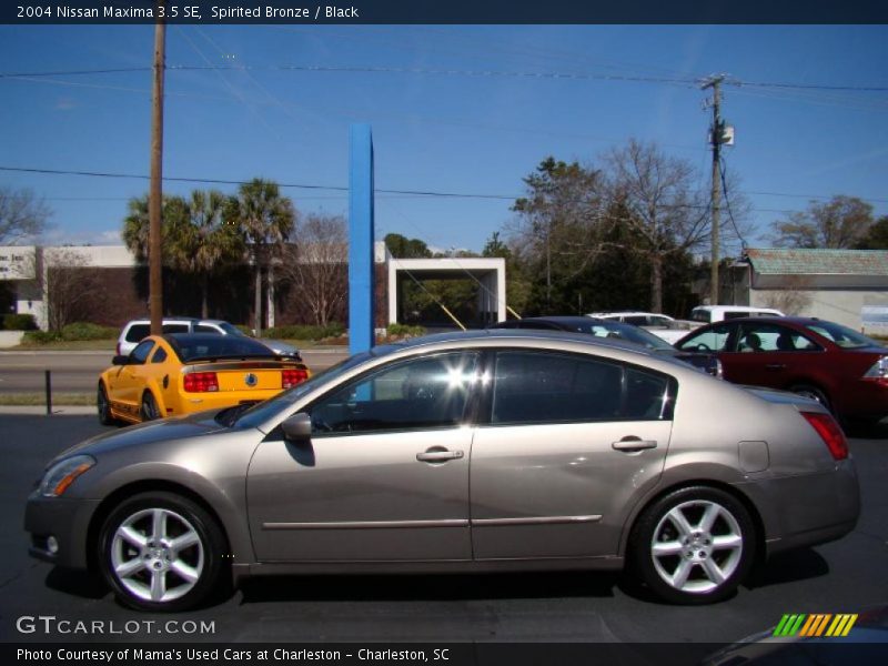 Spirited Bronze / Black 2004 Nissan Maxima 3.5 SE
