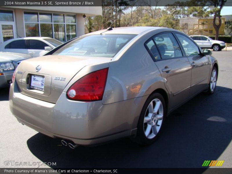 Spirited Bronze / Black 2004 Nissan Maxima 3.5 SE