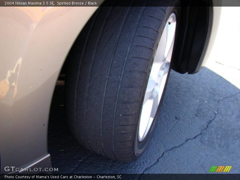 Spirited Bronze / Black 2004 Nissan Maxima 3.5 SE