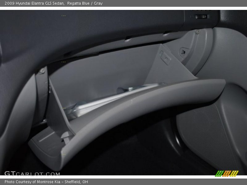Regatta Blue / Gray 2009 Hyundai Elantra GLS Sedan