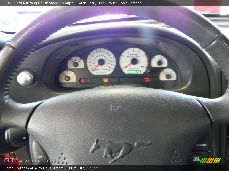  2002 Mustang Roush Stage 3 Coupe Roush Stage 3 Coupe Gauges