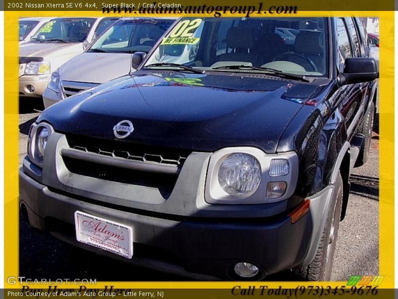 Super Black / Gray Celadon 2002 Nissan Xterra SE V6 4x4