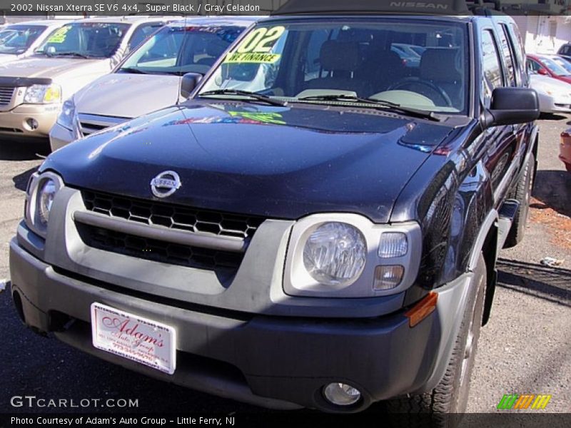 Super Black / Gray Celadon 2002 Nissan Xterra SE V6 4x4