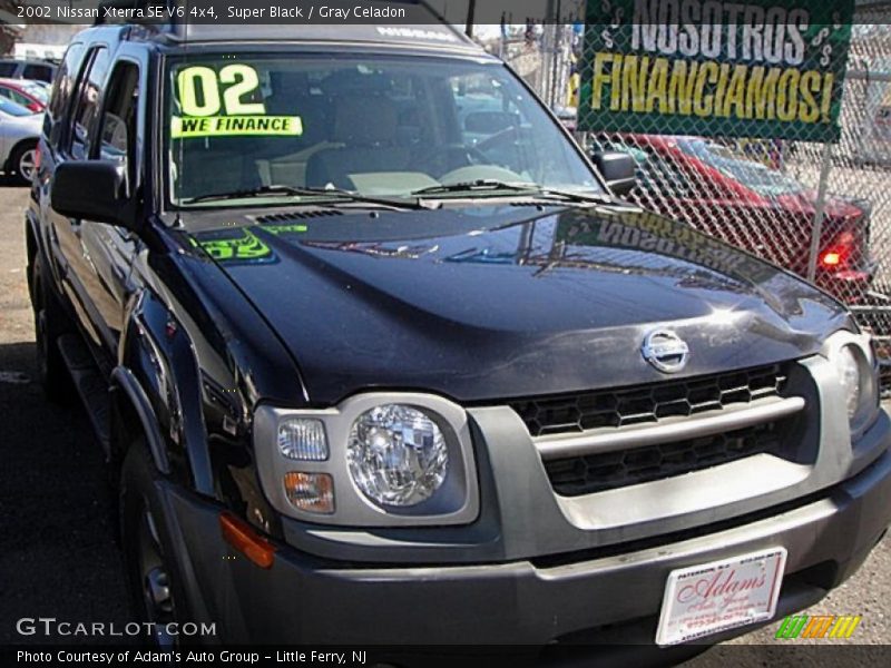 Super Black / Gray Celadon 2002 Nissan Xterra SE V6 4x4