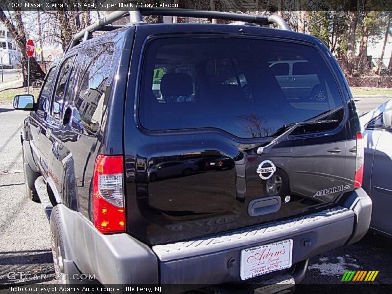 Super Black / Gray Celadon 2002 Nissan Xterra SE V6 4x4