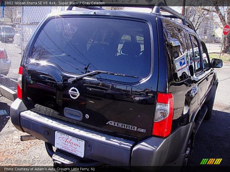 Super Black / Gray Celadon 2002 Nissan Xterra SE V6 4x4