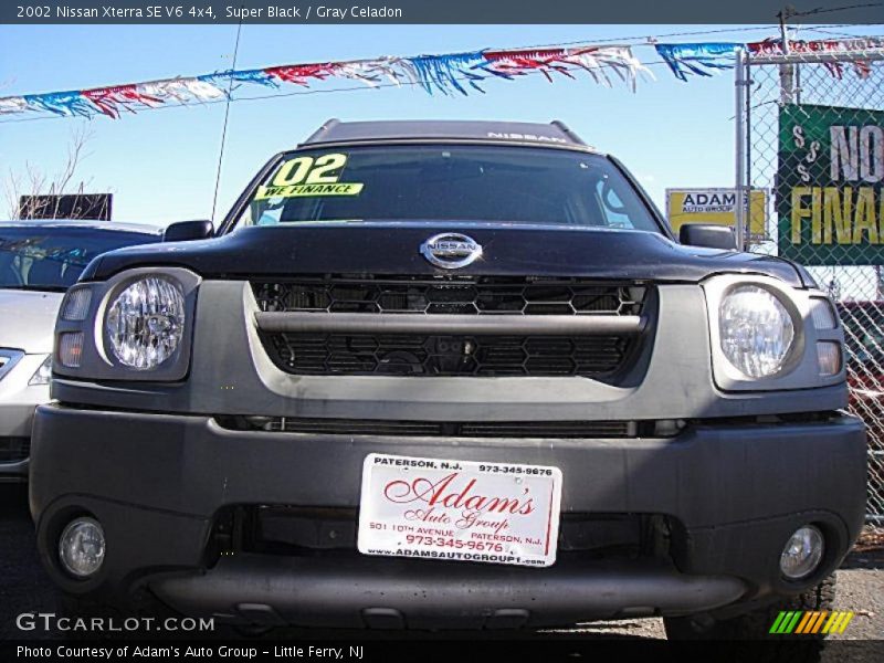 Super Black / Gray Celadon 2002 Nissan Xterra SE V6 4x4