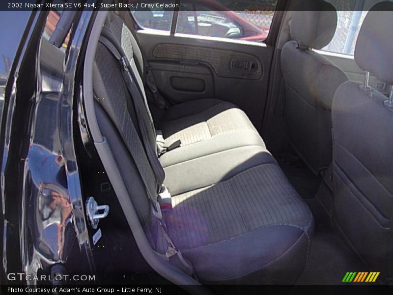 Super Black / Gray Celadon 2002 Nissan Xterra SE V6 4x4