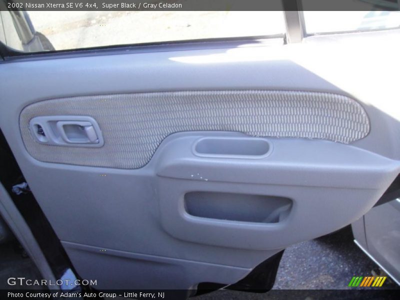 Super Black / Gray Celadon 2002 Nissan Xterra SE V6 4x4