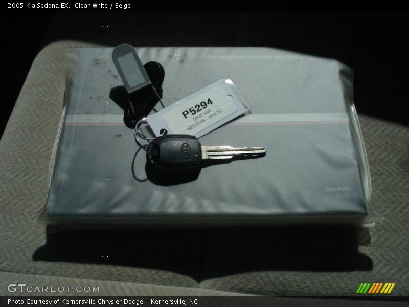 Clear White / Beige 2005 Kia Sedona EX