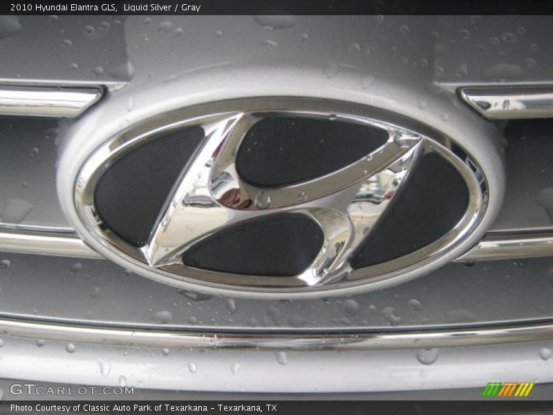 Liquid Silver / Gray 2010 Hyundai Elantra GLS