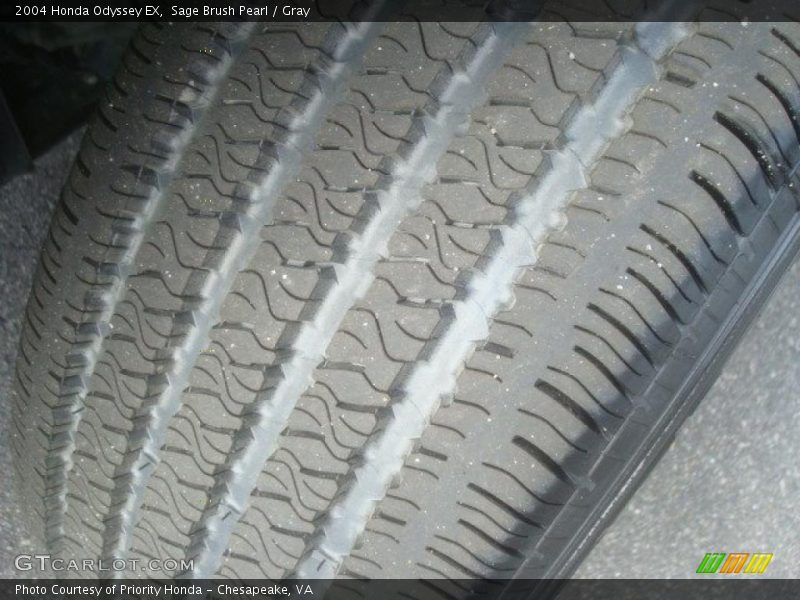 Sage Brush Pearl / Gray 2004 Honda Odyssey EX