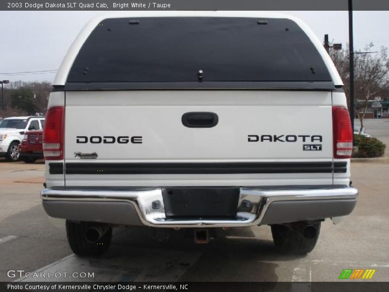 Bright White / Taupe 2003 Dodge Dakota SLT Quad Cab