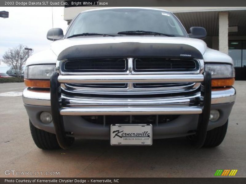 Bright White / Taupe 2003 Dodge Dakota SLT Quad Cab