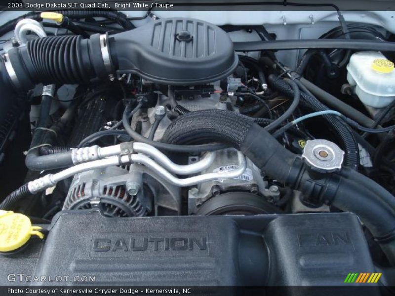Bright White / Taupe 2003 Dodge Dakota SLT Quad Cab
