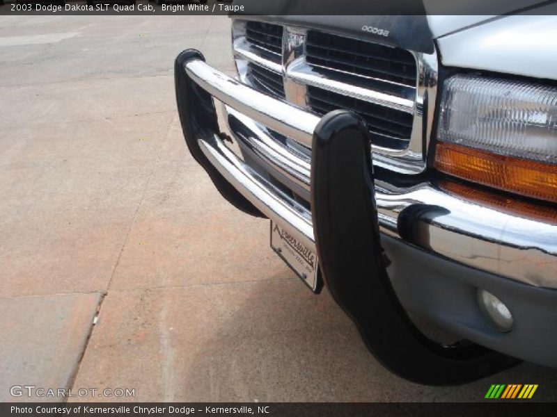 Bright White / Taupe 2003 Dodge Dakota SLT Quad Cab