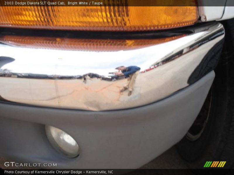 Bright White / Taupe 2003 Dodge Dakota SLT Quad Cab