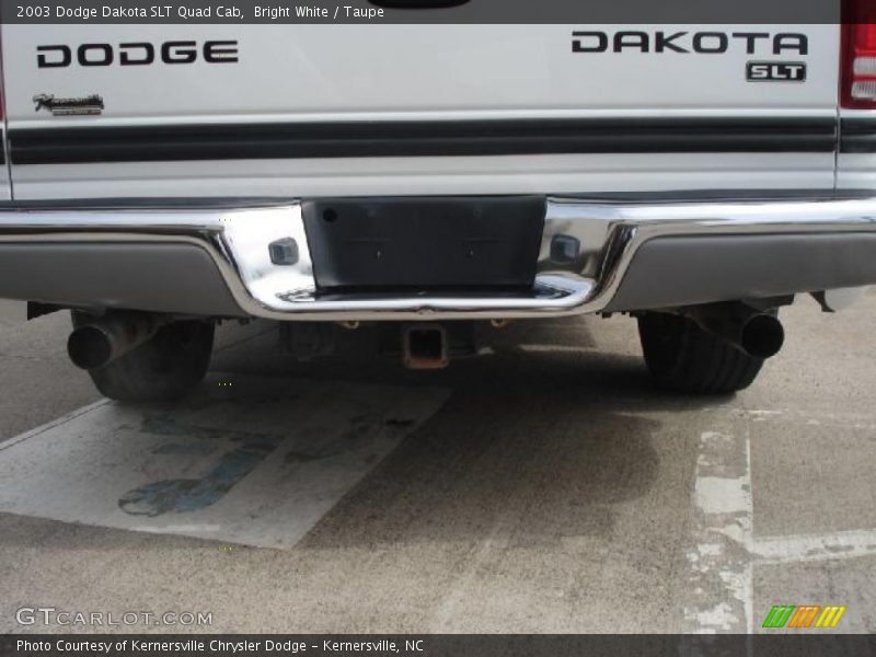 Bright White / Taupe 2003 Dodge Dakota SLT Quad Cab