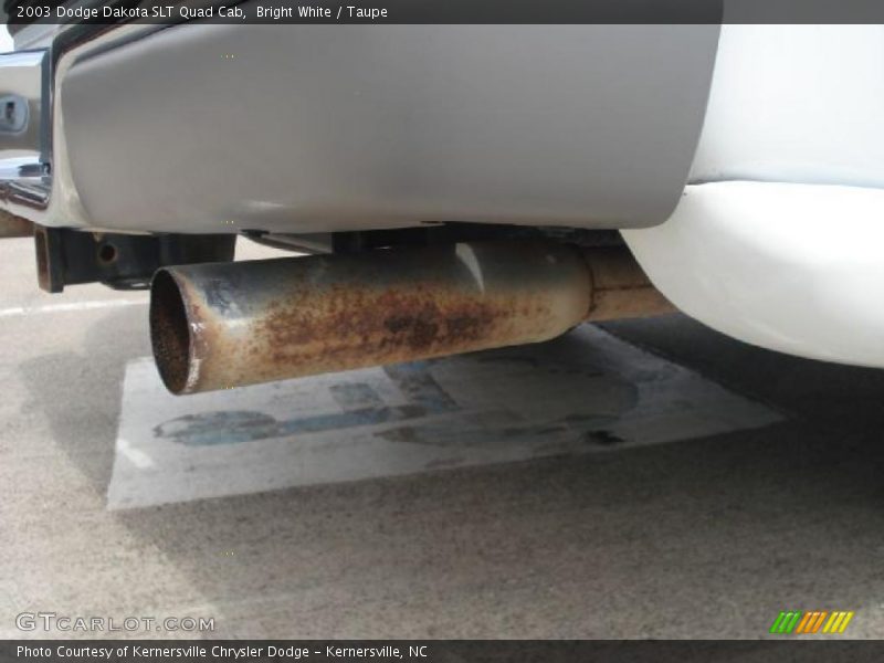 Bright White / Taupe 2003 Dodge Dakota SLT Quad Cab