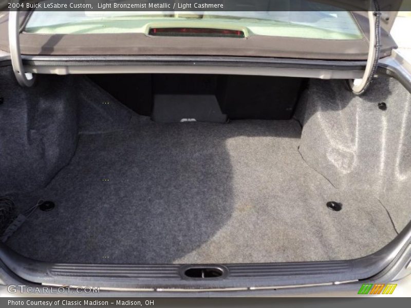 Light Bronzemist Metallic / Light Cashmere 2004 Buick LeSabre Custom