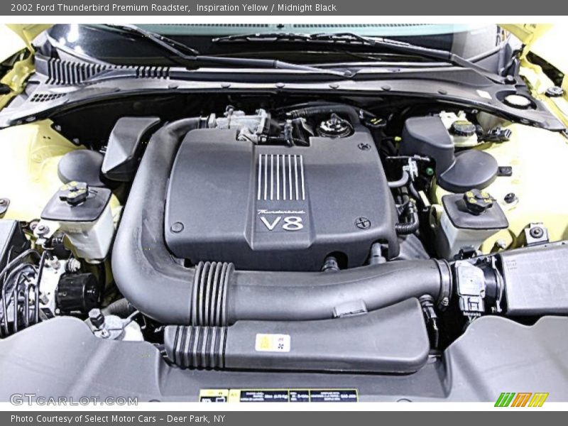 Inspiration Yellow / Midnight Black 2002 Ford Thunderbird Premium Roadster