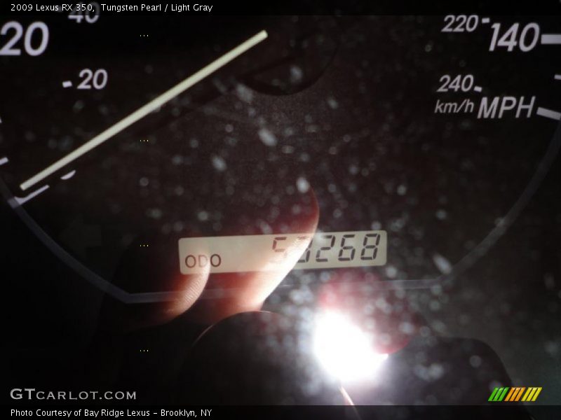 Tungsten Pearl / Light Gray 2009 Lexus RX 350