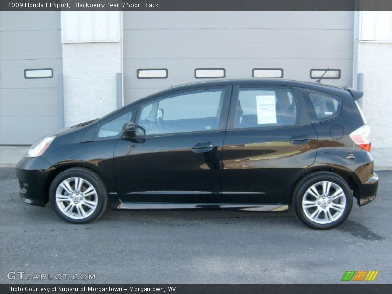 Blackberry Pearl / Sport Black 2009 Honda Fit Sport