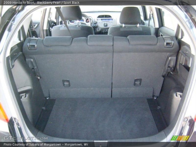 Blackberry Pearl / Sport Black 2009 Honda Fit Sport