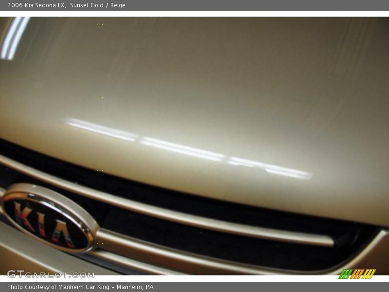 Sunset Gold / Beige 2006 Kia Sedona LX