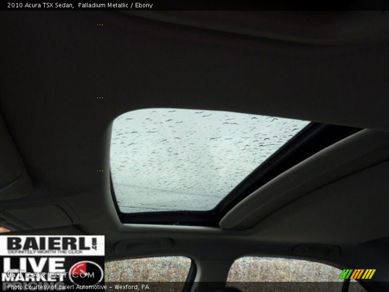 Palladium Metallic / Ebony 2010 Acura TSX Sedan